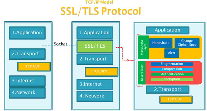 什么是ssl，tls？两者有什么区别？